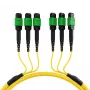 EFB MTPF48MTPFOS2-25-A OS2 Singlemode 48-vezel MTP APC patchkabel, 25 m, geel