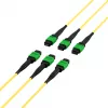 EFB MTPF48MTPFOS2-25-A OS2 Singlemode 48-vezel MTP APC patchkabel, 25 m, geel