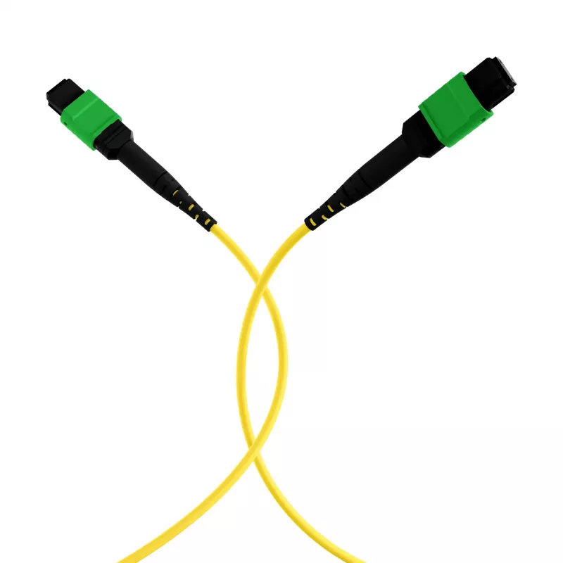 EFB MTPF48MTPFOS2-25-A OS2 Singlemode 48-vezel MTP APC patchkabel, 25 m, geel