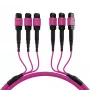 EFB Elektronik MTP-F/MTP-F 48-vezel matrix patchkabel OM4, LSZH erikaviolet, code A, 25m MTPF48MTPFOM4-25-A
