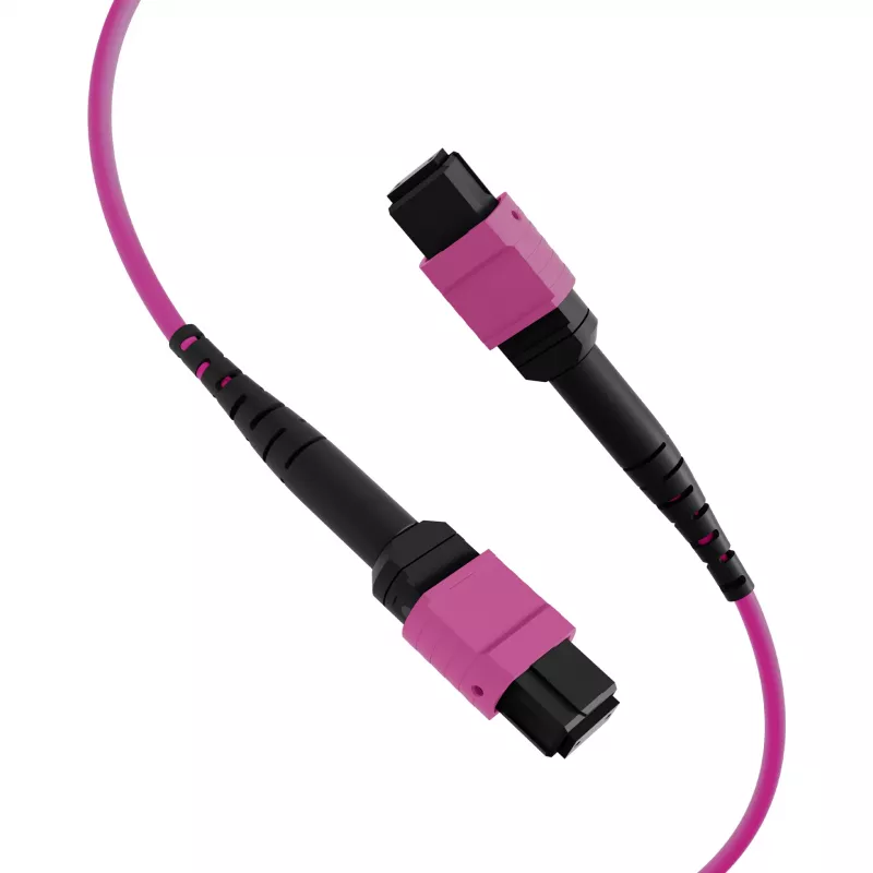 EFB Elektronik MTP-F/MTP-F 48-vezel matrix patchkabel OM4, LSZH erikaviolet, code A, 25m MTPF48MTPFOM4-25-A