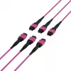 EFB Elektronik MTP-F/MTP-F 48-vezel matrix patchkabel OM4, LSZH erikaviolet, code A, 25m MTPF48MTPFOM4-25-A