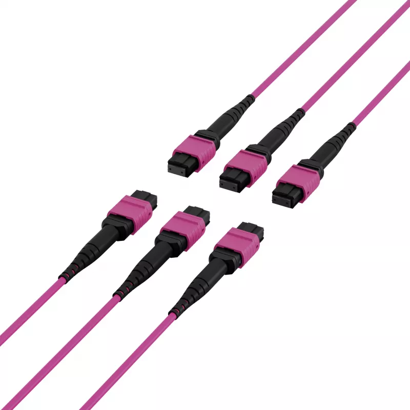 EFB Elektronik MTP-F/MTP-F 48-vezel matrix patchkabel OM4, LSZH erikaviolet, code A, 25m MTPF48MTPFOM4-25-A