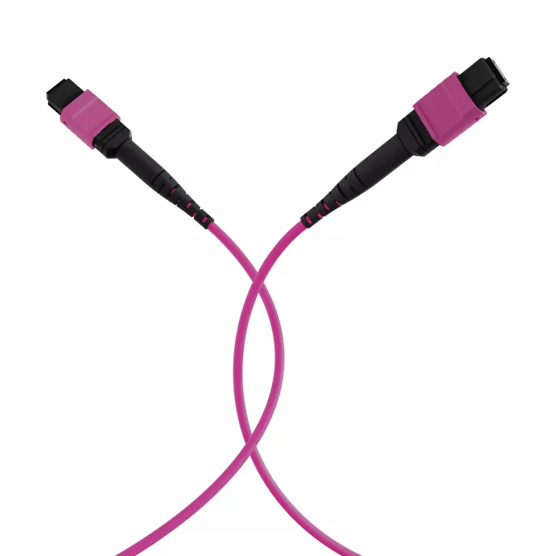 EFB Elektronik MTP-F/MTP-F 48-vezel matrix patchkabel OM4, LSZH erikaviolet, code A, 25m MTPF48MTPFOM4-25-A