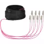 EFB Elektronik U-DQ ZN BH OM4 8G 1x8 LC-LC 10m Dca LSZH trunkkabel O8322S10OM4