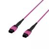 EFB Elektronik MPO-PLUS(F)-MPO-PLUS(F) patchkabel OM4 8 vezels type B LSZH erika-violet 5 m MPOF8MPOFOM4-5