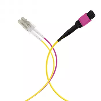 EFB Elektronik MPOF12LCOM4-5 MPO-PLUS (F) naar LC duplex trunk-kabel, OM4, 12 vezels, type B, LSZH, erika-violet, 5 m