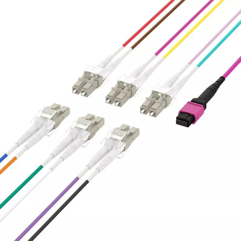EFB Elektronik MPOF12LCOM4-5 MPO-PLUS (F) naar LC duplex trunk-kabel, OM4, 12 vezels, type B, LSZH, erika-violet, 5 m