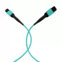 EFB Elektronik MPO-PLUS female naar MPO-PLUS female patchkabel, OM3 multimode, 12 vezels, type B, LSZH aqua, 5 m MPOF12MPOFOM3-5