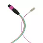 EFB Elektronik MPO-PLUS (M)-LC fanout-kabel OM4 12 vezels type B LSZH erika-violet 1 m MPOM12LCOM4-1