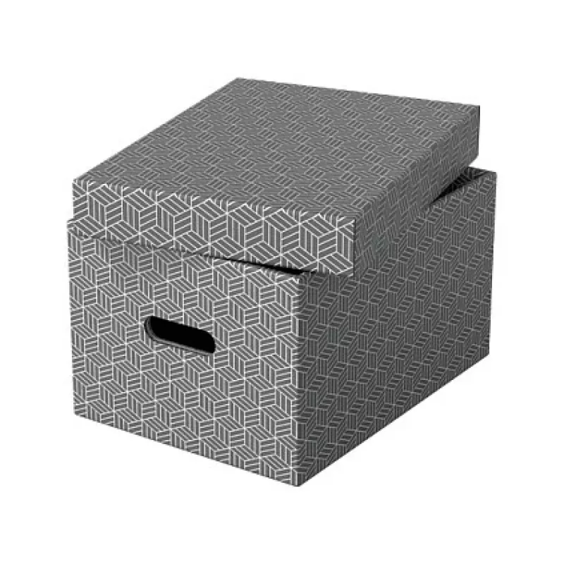 Esselte Home Opbergbox M, 17,5 L, 26,5 x 36,5 x 20,5 cm, 3-pack, wit/grijs (628283)