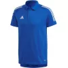 adidas Condivo 20 herenpoloshirt Team Royal Blue/White ED9237 maat S