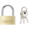 Sygonix SY-5045288 Messing hangslot 29,8 mm gelijksluitend? Nee, verschillend sluitend Goudgeel