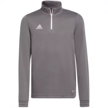 adidas Entrada 22 trainingsshirt sweatshirt voor kinderen - grijs, maat 164 H57549