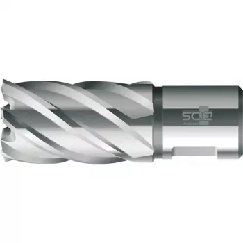 BDS HSS standaard-kernboor 19 mm snijdiameter, 30 mm snijdiepte, Weldon-schacht (KBK-019)