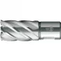 BDS HSS Kernboor Standaard 17,0 mm snijdiepte 30 mm Weldon-schacht (KBK-017)