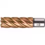 BDS HSS VarioPLUS 16 mm kernboor met Weldon-schacht, 55 mm snijdiepte KBL-VP016