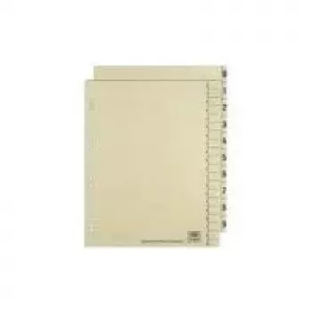 ELBA registertabbladen, dubbelzijdig bedrukt, chamois, 240 x 300 mm, kraftkarton 200 g/m², versterkte perforatie (06455)