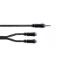 Cordial 14883 3,5 mm stereo Y-adapterkabel, 1x jackstekker naar 2x jackbus, 0,3 m, zwart