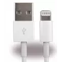 CYOO CY120130 Lightning naar USB-A kabel 0,5m wit