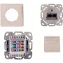 IT-BUDGET Cat.6A afgeschermde inbouw netwerkdoos, 2 x RJ45, zuiverwit, PoE+ 90ITBDDRW