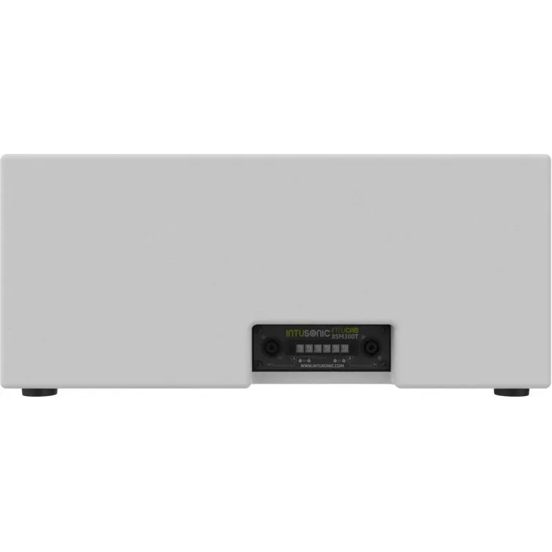 INTUSONIC 8SM300T dual 8-inch subwoofer wit 12604014