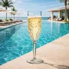 GRAMONTY premium champagneglazen 170 ml, 12-delige set (6662)