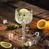 GRAMONTY Premium 6665 longdrinkglazen 540 ml, 12 st.