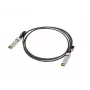 Lanberg SFP+ Direct Attach kabel 3m zwart 10Gbps koper Twinax passief