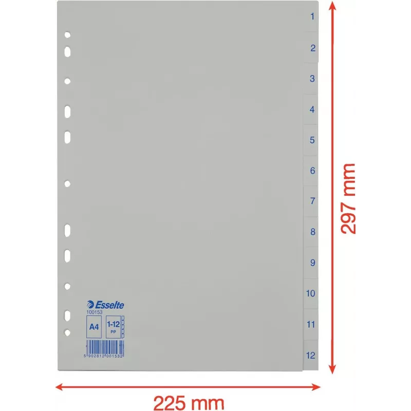 LEITZ Esselte kunststof register, genummerd 1-12, A4, wit, universele perforatie, 10 sets (100153)