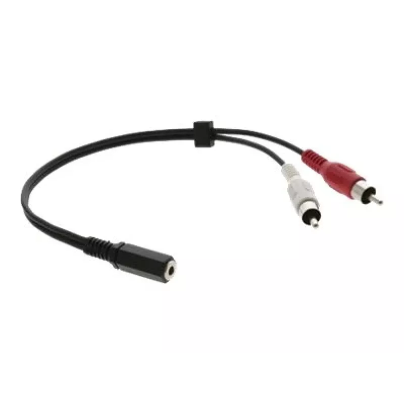 Kramer C-A35F/2RAM-1 audio-adapterkabel - 3,5 mm bus naar 2x RCA stekker, 30 cm, zwart