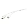 Kramer C-USB/CB-10 USB 2.0 kabel, USB-C stekker naar USB-B stekker, 3 m, wit 96-02357110