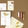Artoz zegelwax-set lichtroze lichtgroen koper (137605-21)