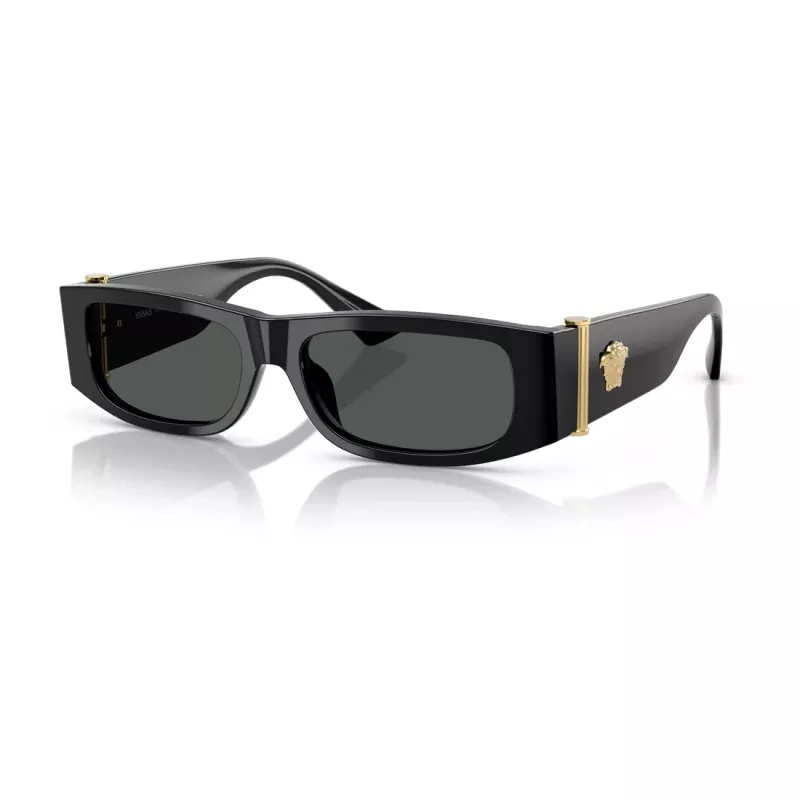Versace unisex zonnebril VE4476UGB187 54mm zwart/grijs