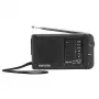AIWA RS-44 zakradio AM/FM, zwart