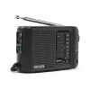 AIWA RS-44 zakradio AM/FM, zwart