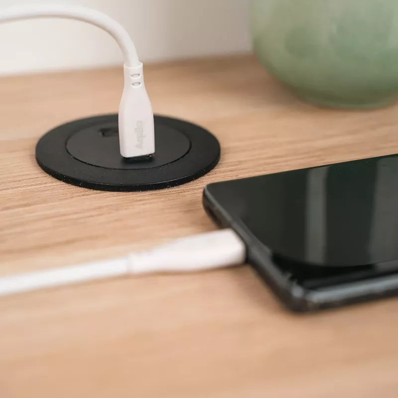 AQIILA Cablebird CS12 USB-C naar USB-C laad- en synchronisatiekabel 2m 60W zwart AQCBPBIC2SI829