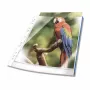 DURABLE DIN A4 documenthoezen, 0,08 mm, blauw, 100-pack, universele perforatie