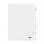 DURABLE A4 20-delige A-Z register, dichtgelaste tabs, 4-voudige perforatie, 80mm afstand, met voorblad 680019