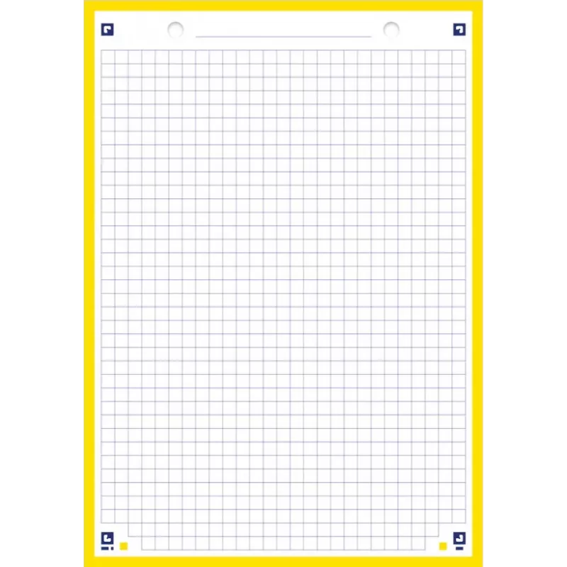 Oxford kaartjes, DIN A5, geruit, wit/geel, 210 g/m², 2-voudig geperforeerd, gekleurde rand, 100 kaarten 400100550