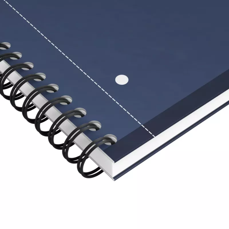 Oxford International College notitieboek A4+ geruit hardcover spiraalbinding 80 vel 400191240