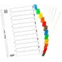 ELBA Mylar kartonregister, numeriek 1-12, A4, diverse kleuren, 12-delig (M568587)