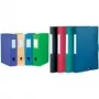 ELBA Memphis verzamelbox DIN A4, 40 mm vulvolume, groen PP, beschrijfbaar ruglabel 98402914