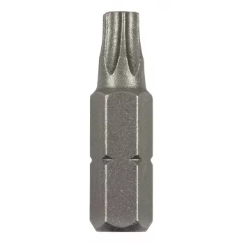 Bosch Torx-bit T 8 C 6,3 2 st. (2609255931)