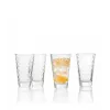 Esmeyer Leonardo OPTIC drinkglazen-set, 300 ml, inwendig reliëfdecor, conisch, 130 mm hoogte, 6 stuks 410-749