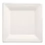 PAPSTAR pure vierkante borden van suikerriet 260 x 260 mm, 12-pack, composteerbaar, magnetronbestendig 89755