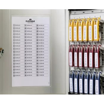 DURABLE KEY BOX 18 sleutelkast met cilinderslot, lichtgrijs 195123