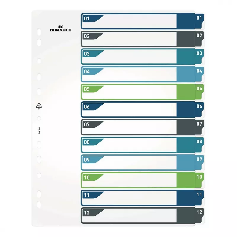 DURABLE 679627 A4+ polypropyleen blanco register, meerkleurig, staand, 0,27 mm, 11-gaats universele perforatie