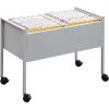 DURABLE hangmapwagen ECONOMY DUO 100 A4, lichtgrijs 308210