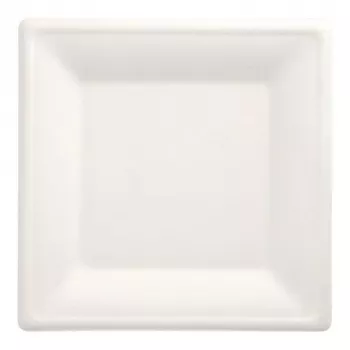 PAPSTAR Pure suikerriet borden, vierkant, 260 x 260 mm, 50 stuks, composteerbaar, magnetronbestendig 89745